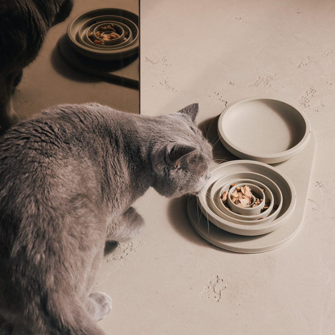 Anti-Schling-Napf für Katzen – Produktansicht 10