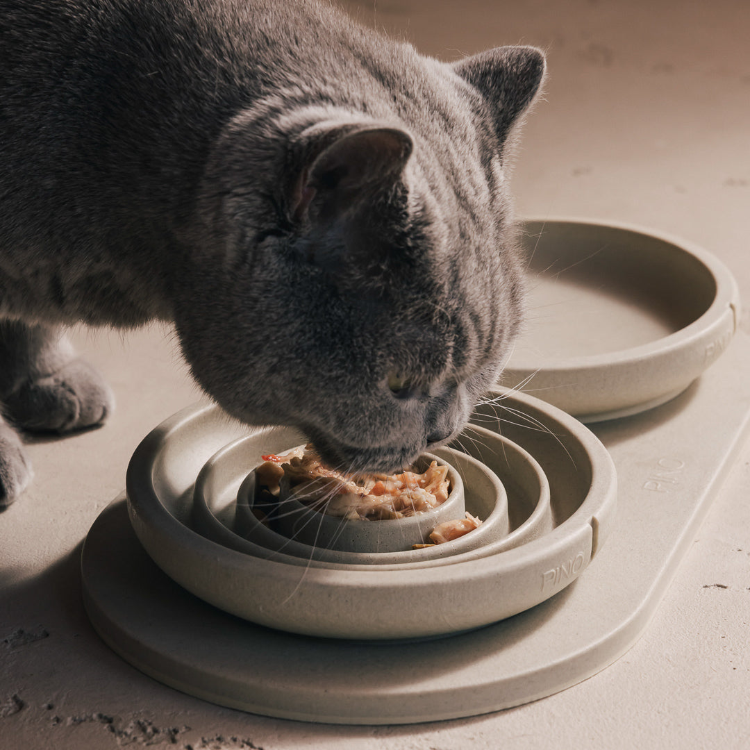 Anti-Schling-Napf für Katzen – Produktansicht 12