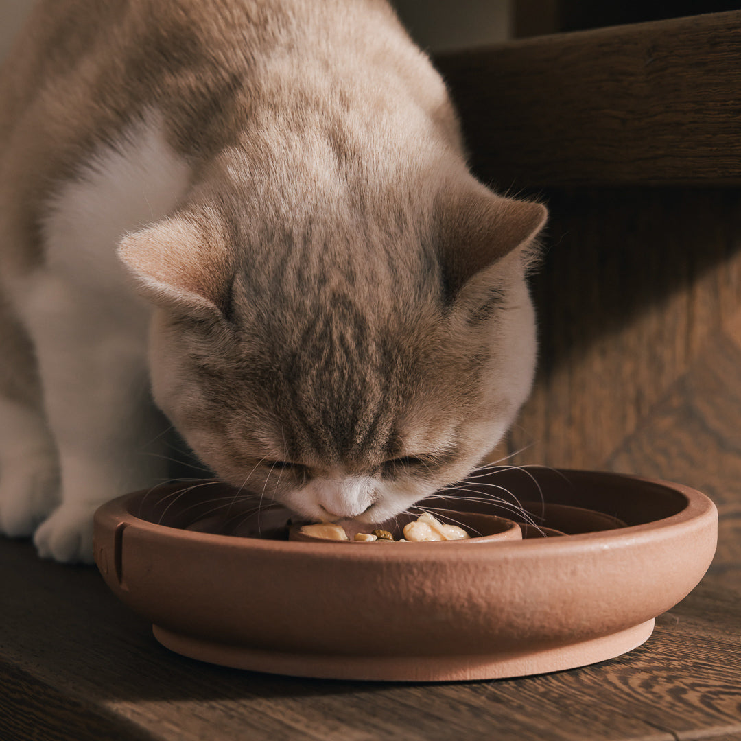 Anti-Schling-Napf für Katzen – Produktansicht 13