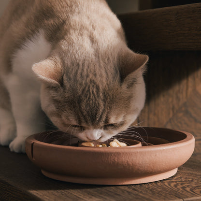 Anti-Schling-Napf für Katzen – Produktansicht 13