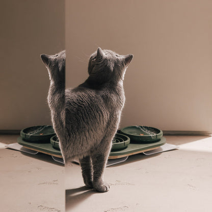 Napf-Tablett für Katzen – Produktansicht 12