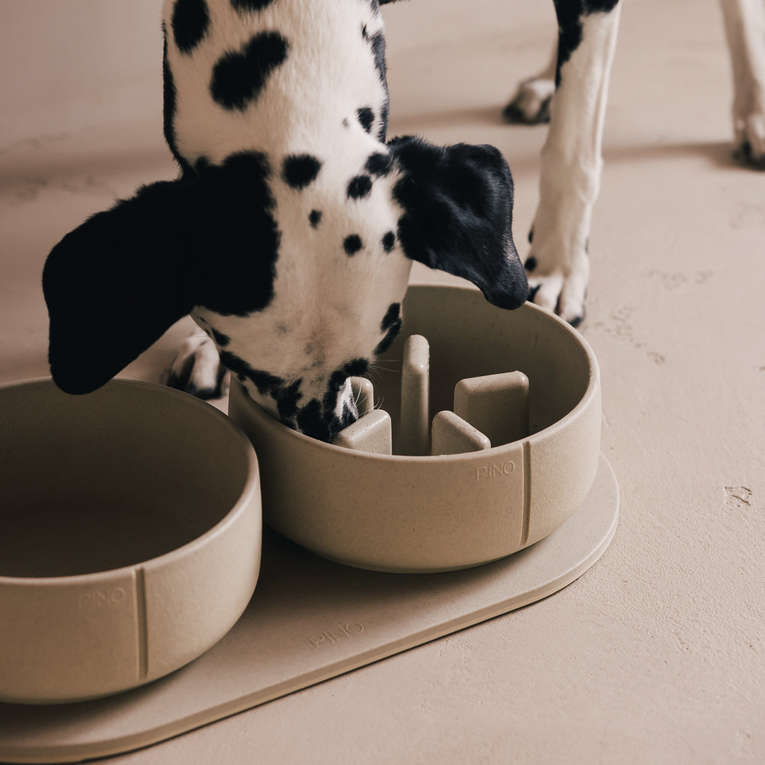 Plateau pour chiens – vue produit 42