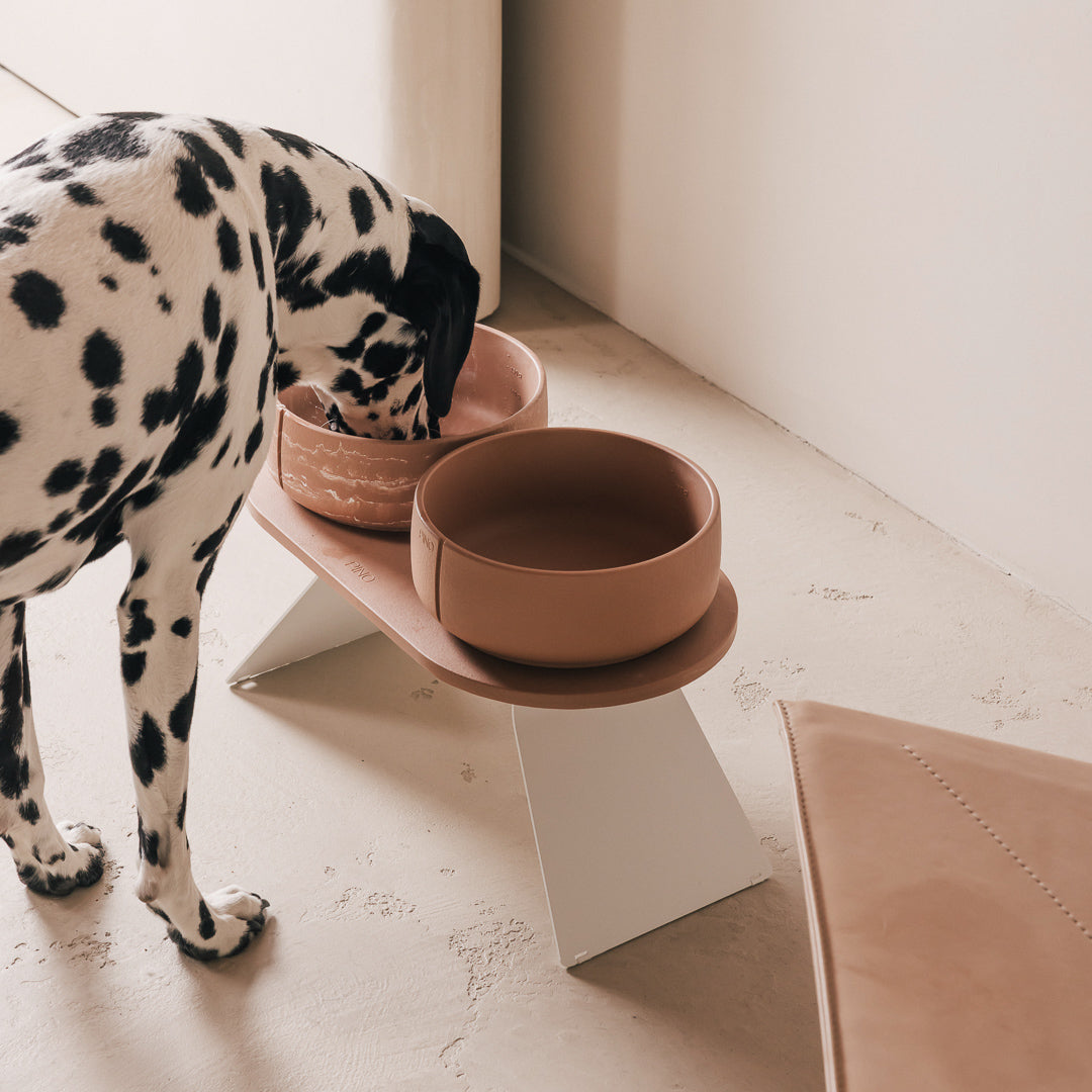Plateau pour chiens – vue produit 43