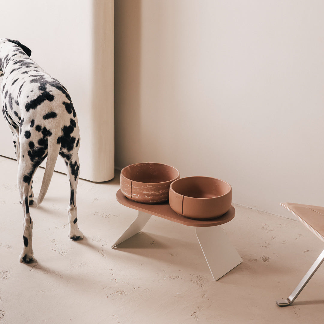 Plateau pour chiens – vue produit 51
