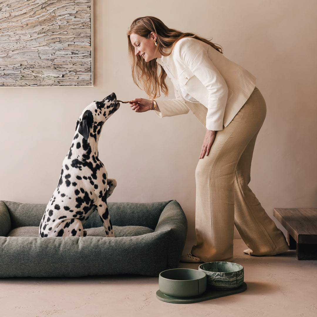 Plateau pour chiens – vue produit 41