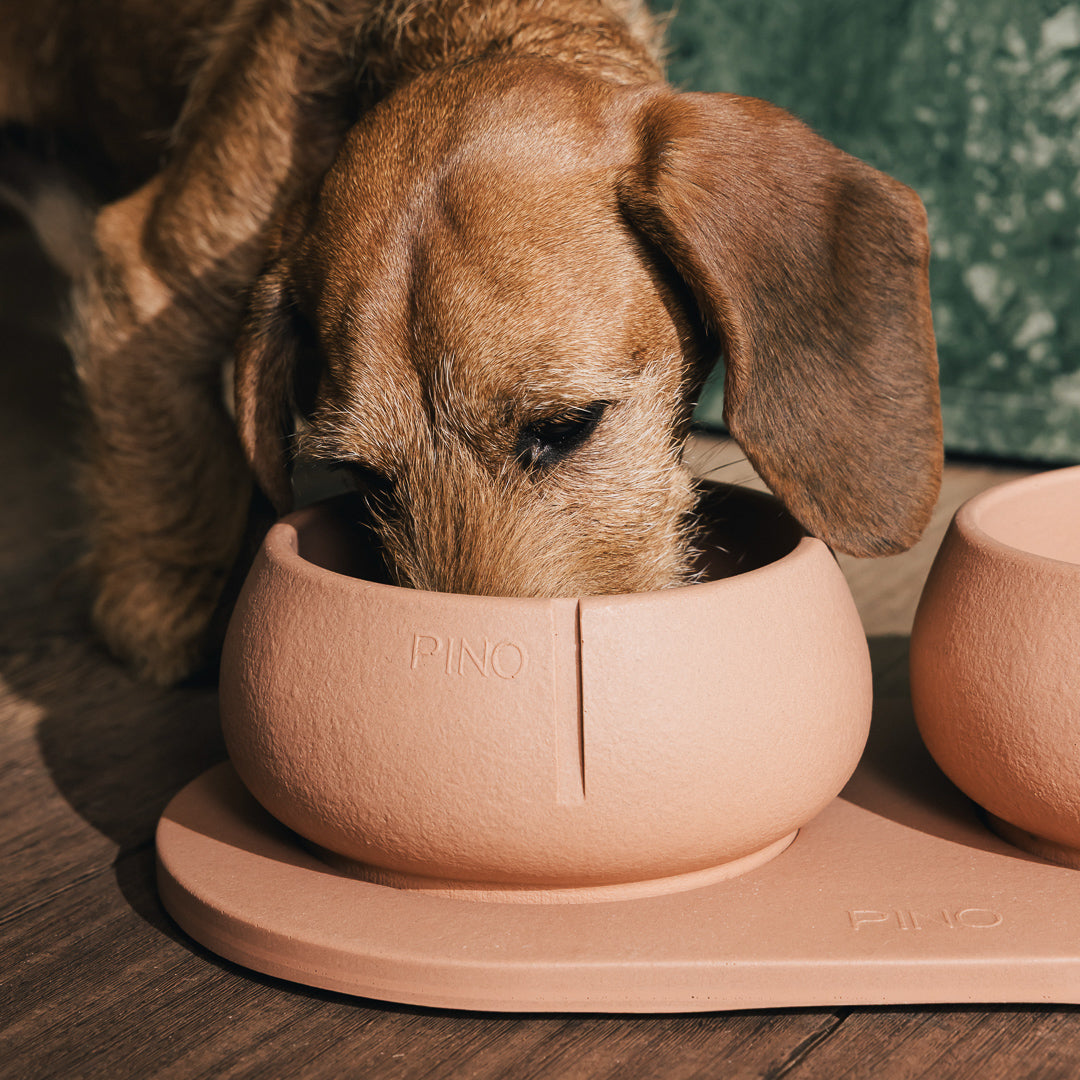 Plateau pour chiens – vue produit 31