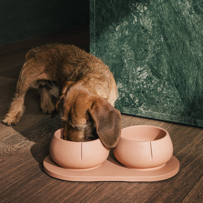 Plateau pour chiens – vue produit 30