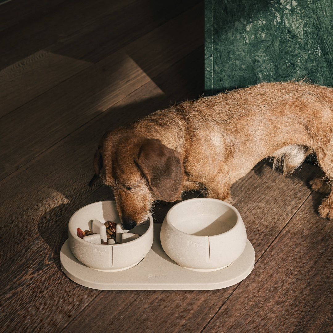 Plateau pour chiens – vue produit 29
