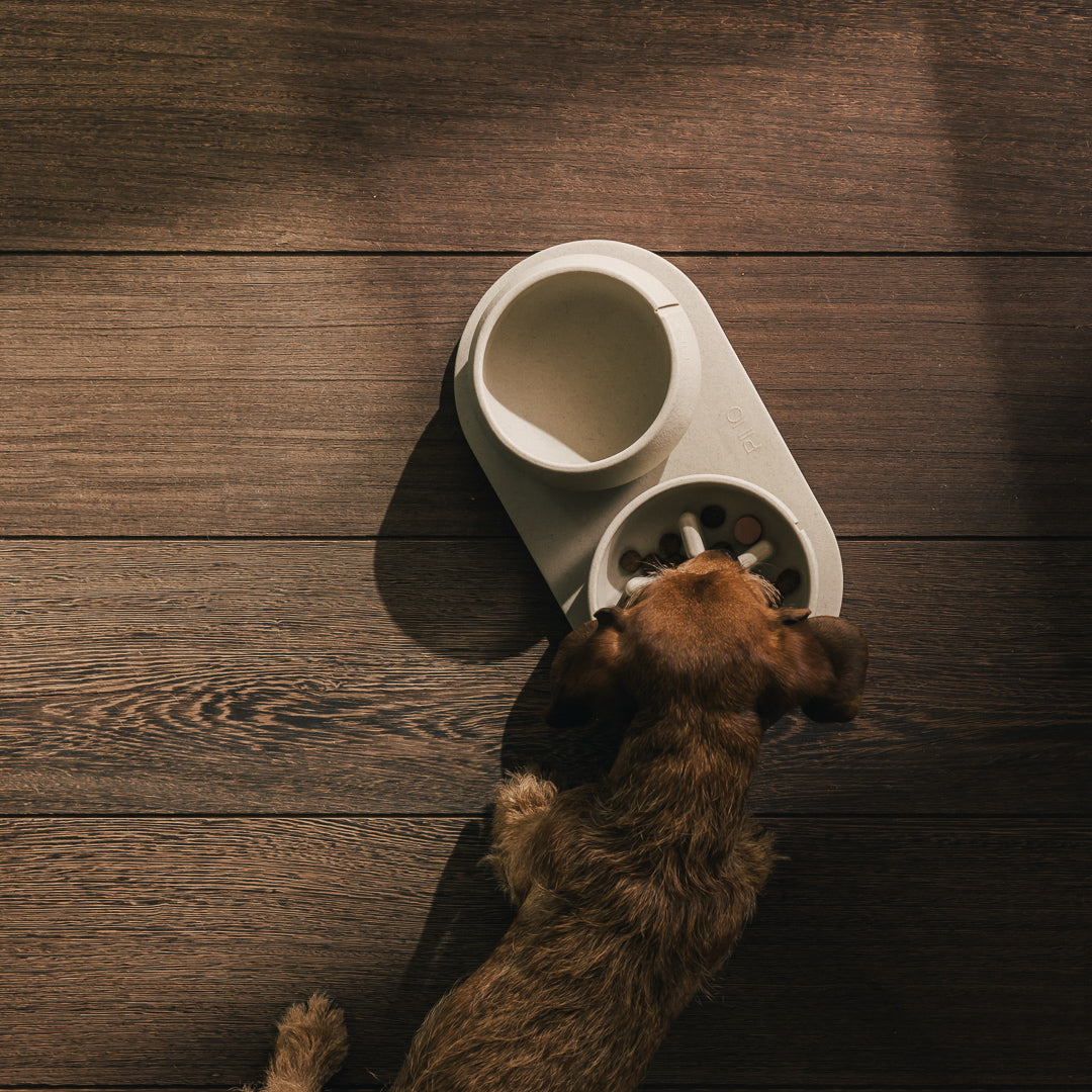 Plateau pour chiens – vue produit 4