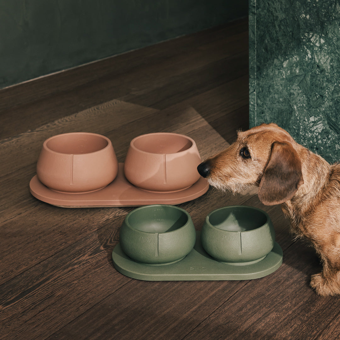 Long Ears Set – Hauptansicht