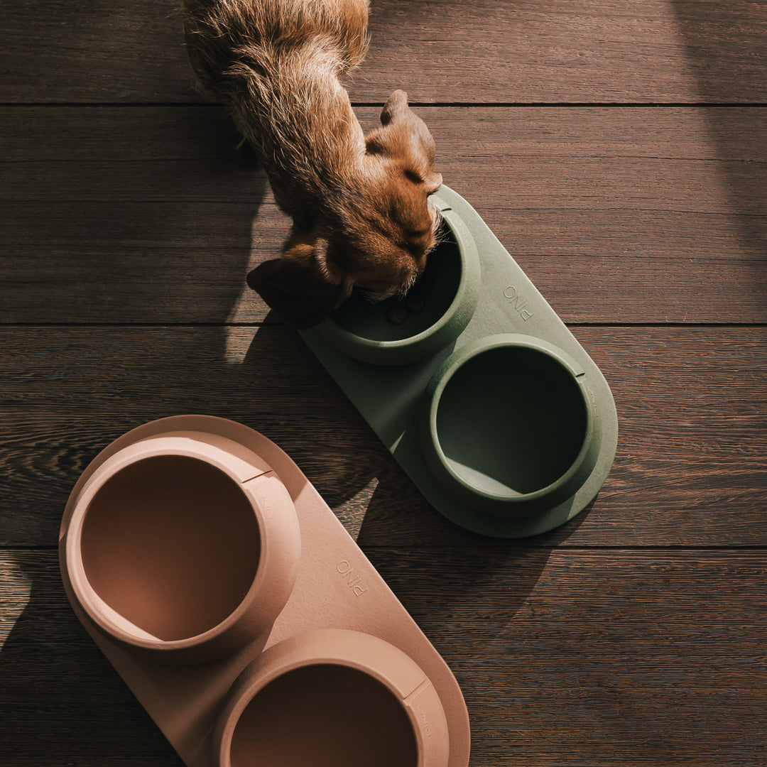 Plateau pour chiens – vue produit 25