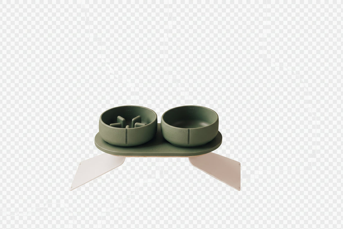 Coffret anti-glouton – gamelles vertes sur support
