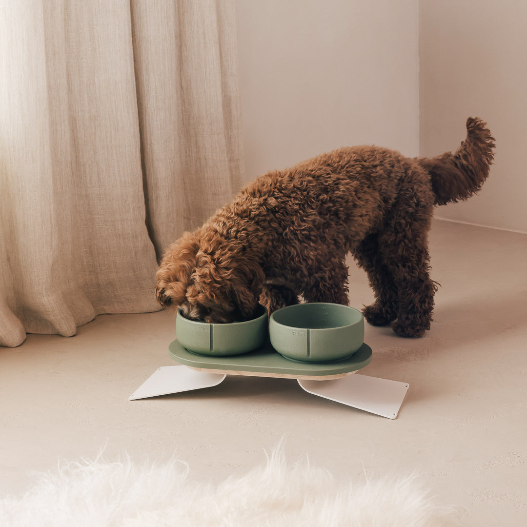 Perfect Posture Set für Hunde – Produktansicht 20