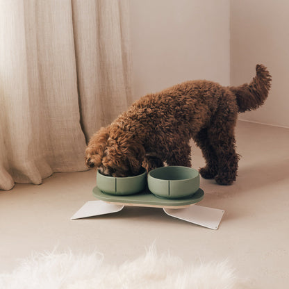 Perfect Posture Set für Hunde – Produktansicht 20