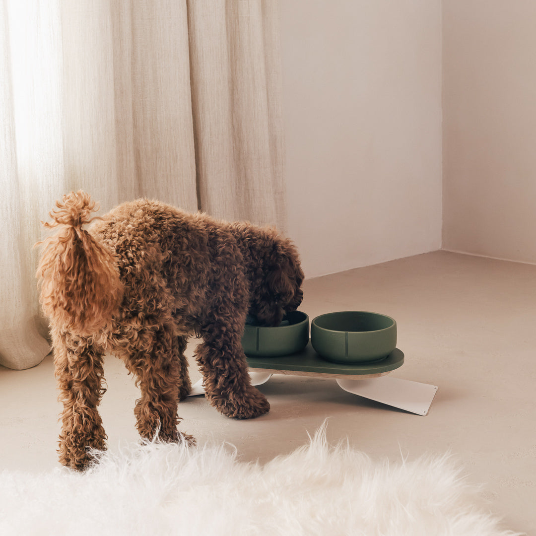 Plateau pour chiens – vue produit 39