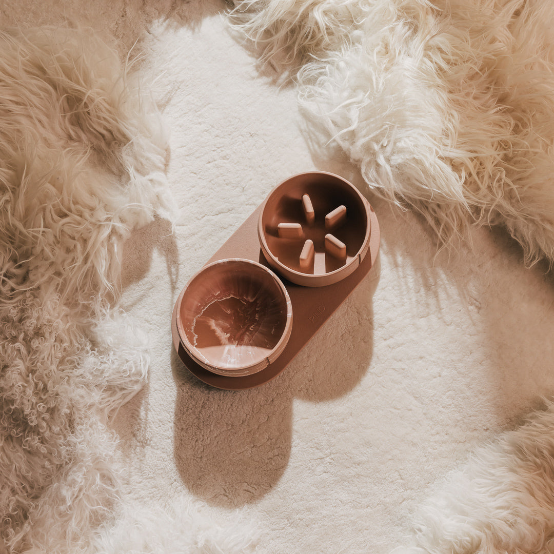 Gamelle classique – vue produit 41