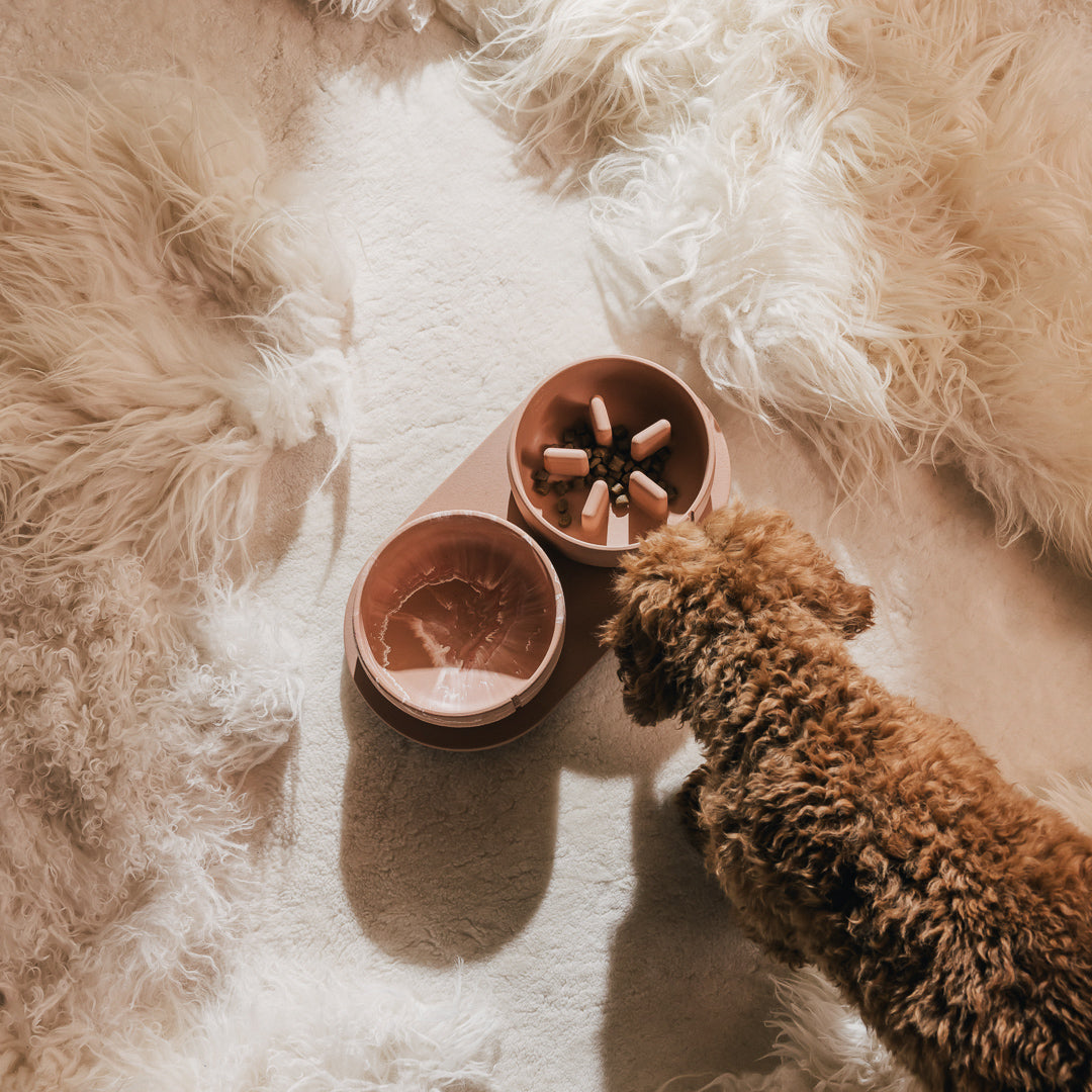 Plateau pour chiens – vue produit 35