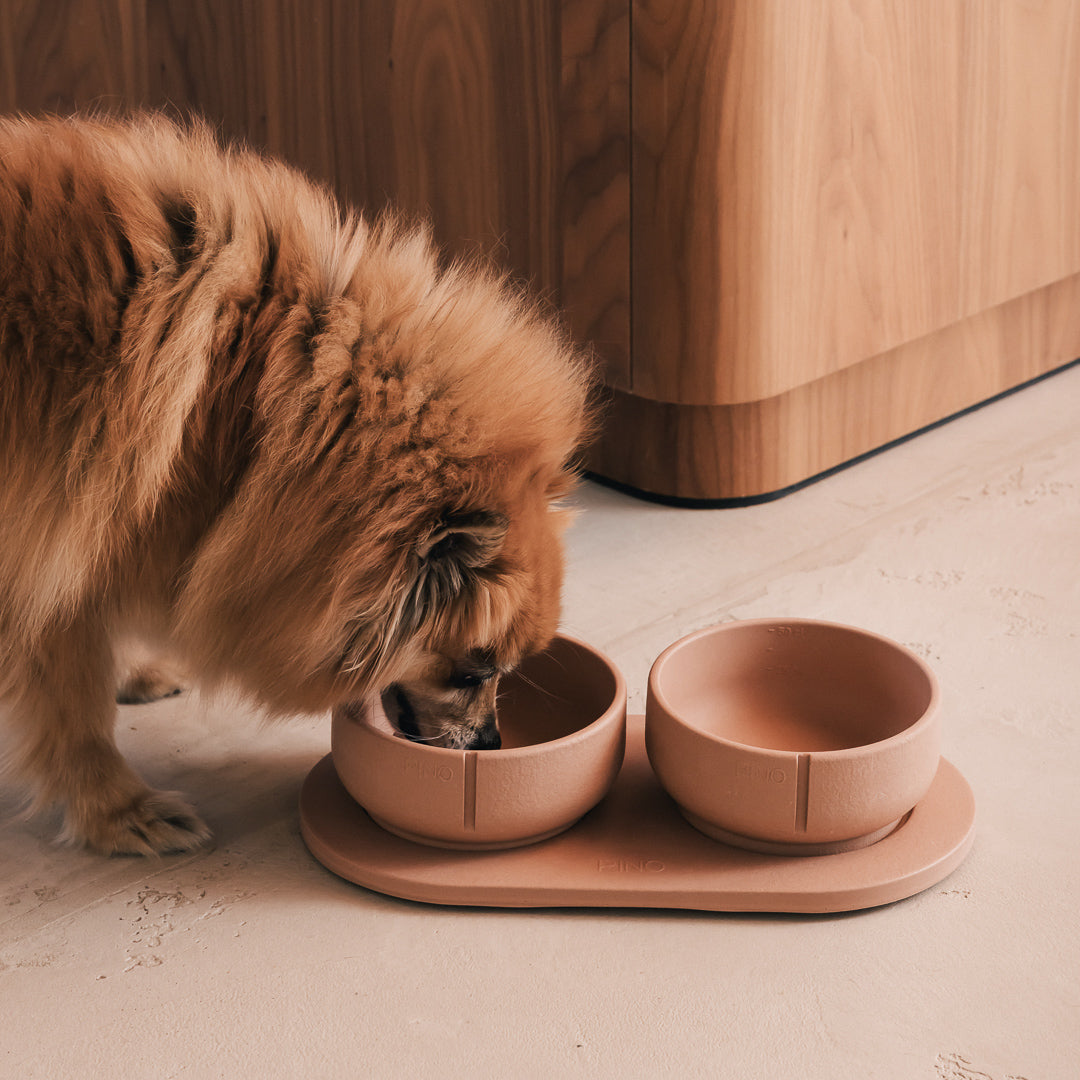 Plateau pour chiens – vue produit 34
