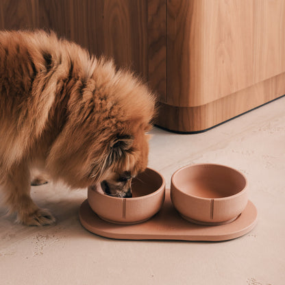 Plateau pour chiens – vue produit 34
