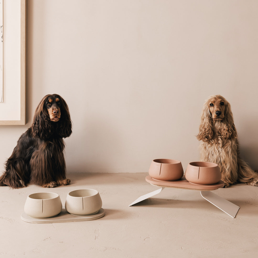 Plateau pour chiens – vue produit 55