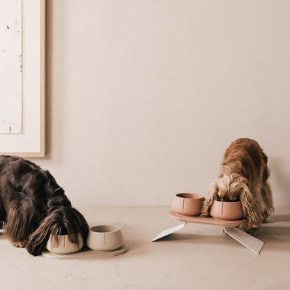 Perfect Posture Set für Hunde – Produktansicht 27