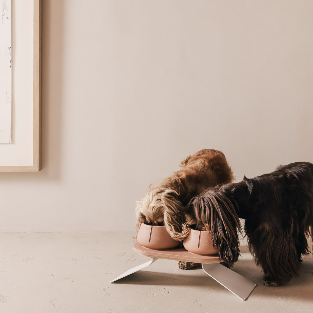 Plateau pour chiens – vue produit 57