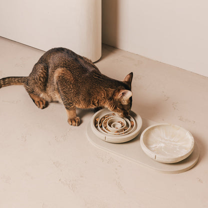Napf-Tablett für Katzen – Produktansicht 2