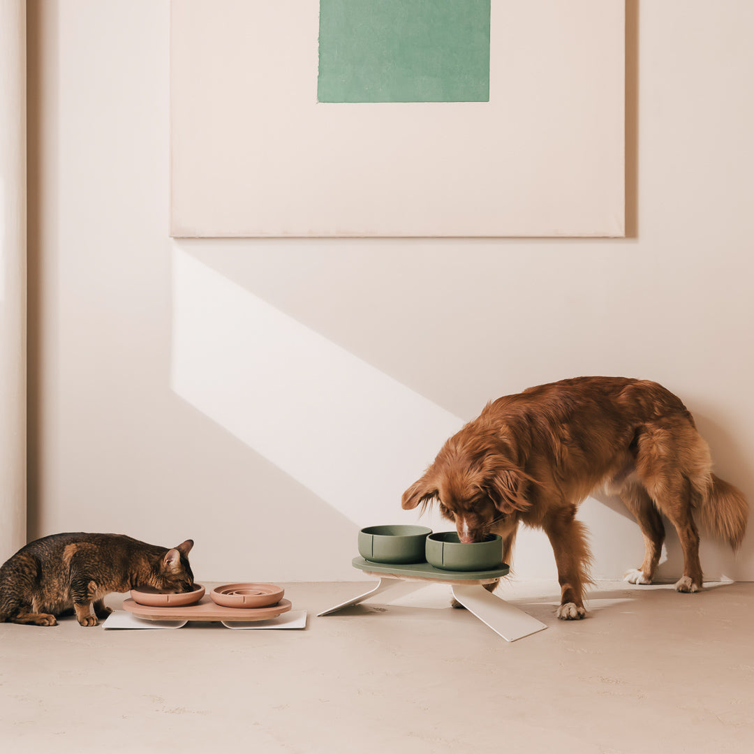Plateau pour chiens – vue produit 64