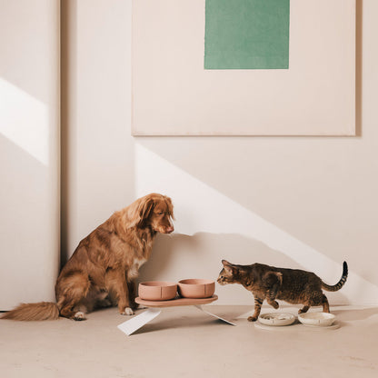 Anti-Schling-Napf für Katzen – Produktansicht 19