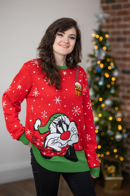 Looney Tunes Christmas Sweater