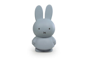Sparschwein Lapin Miffy Warm Edition