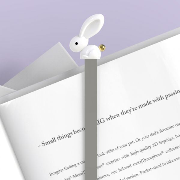 Lapin page