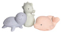 Coffret Guimauve Océan – Dauphin, Hippocampe & Tortue