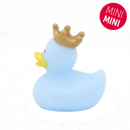 Mini blauwkroon-eendje
