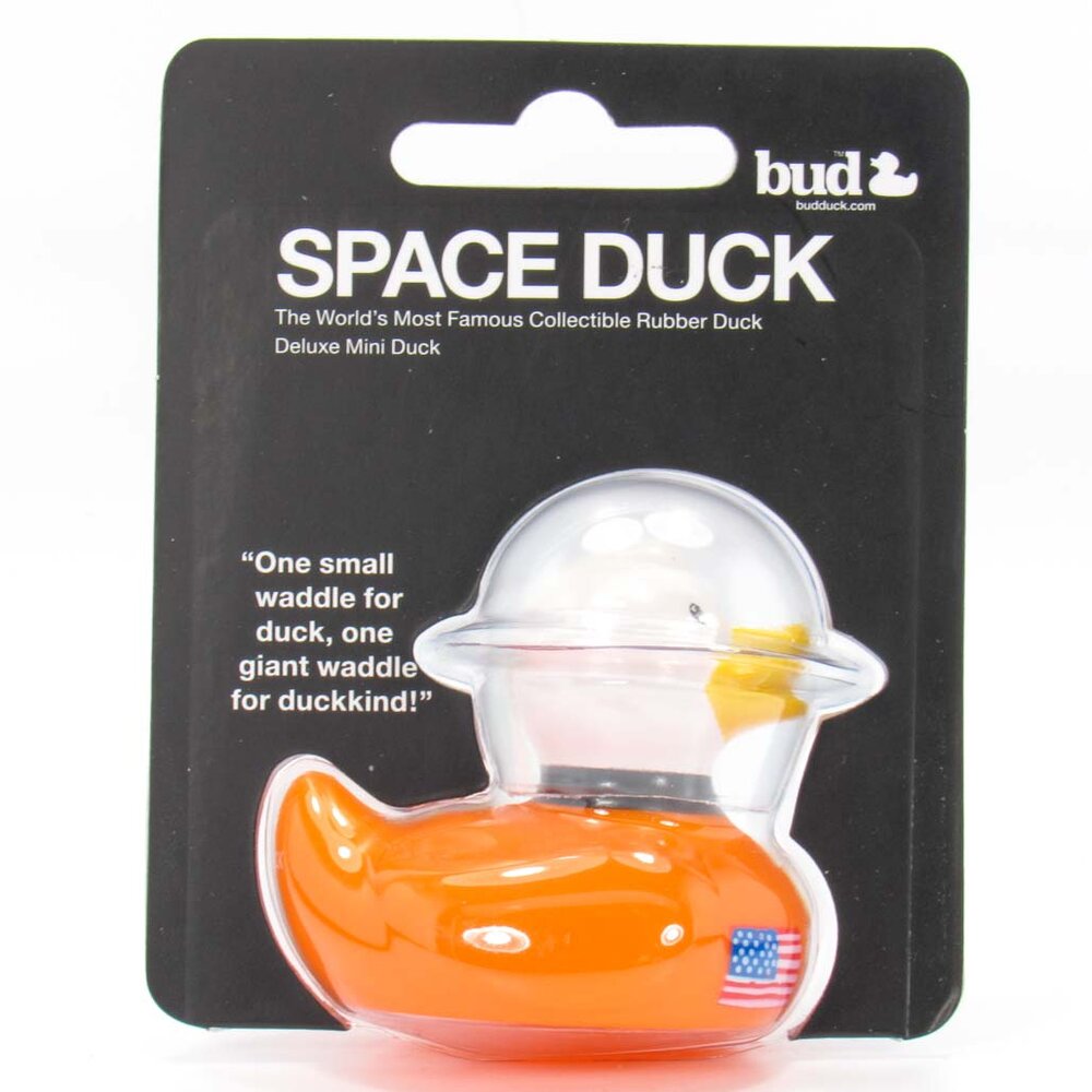 Mini Canard Space