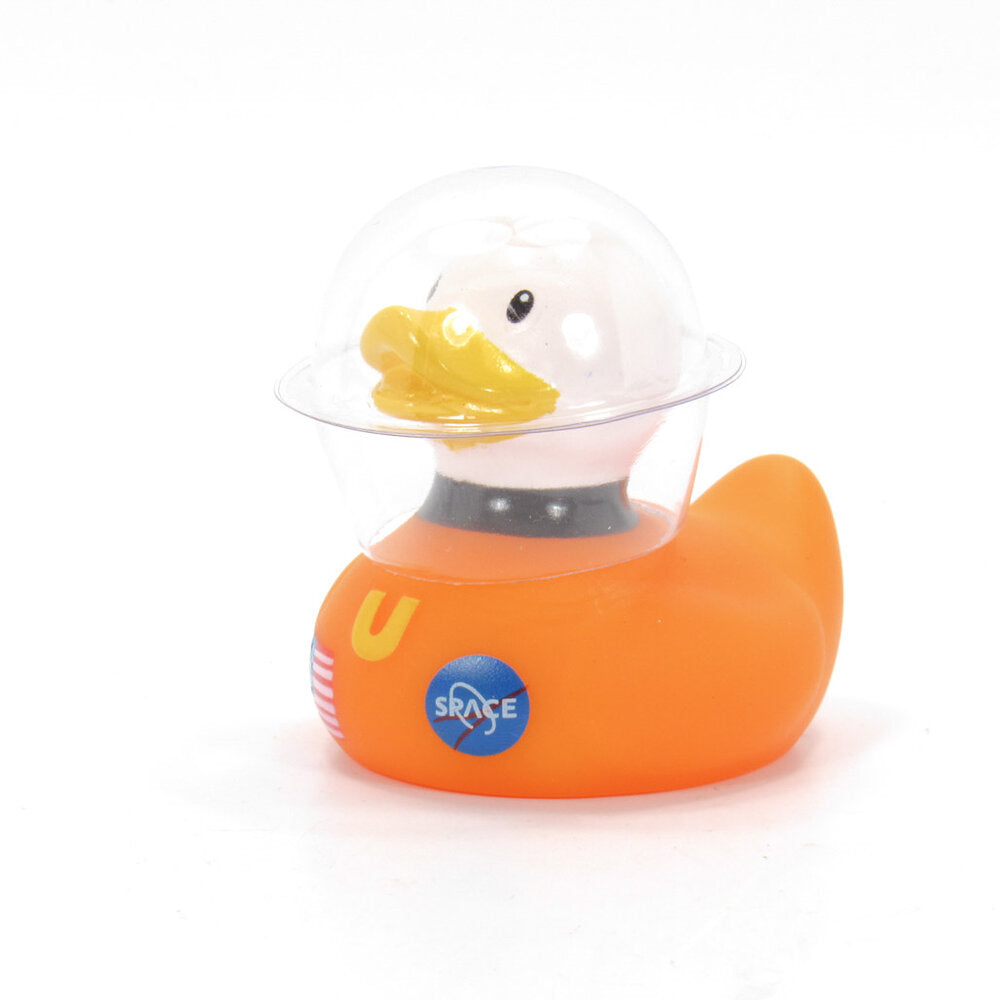 Mini Eendjes Ruimte