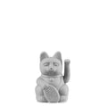 Glückliche graue Mini-Katze