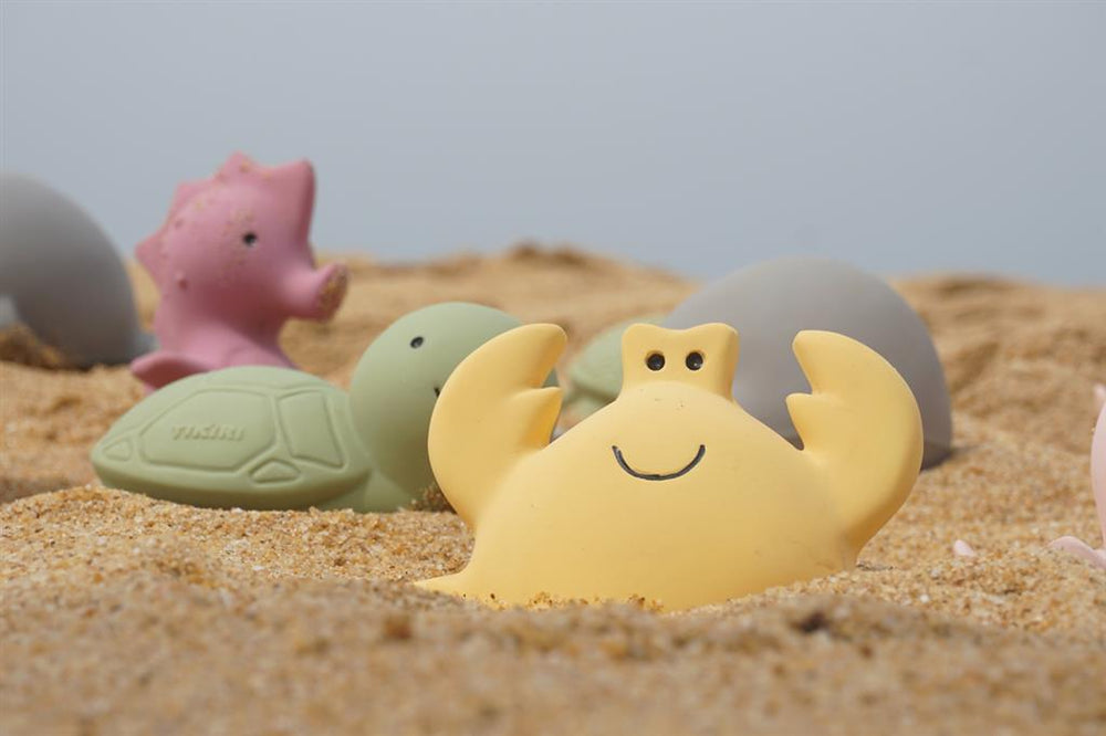 Mijn eerste zeedier – Walvis