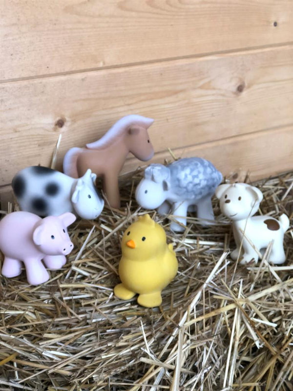 Mijn eerste boerderijdier: een schaap