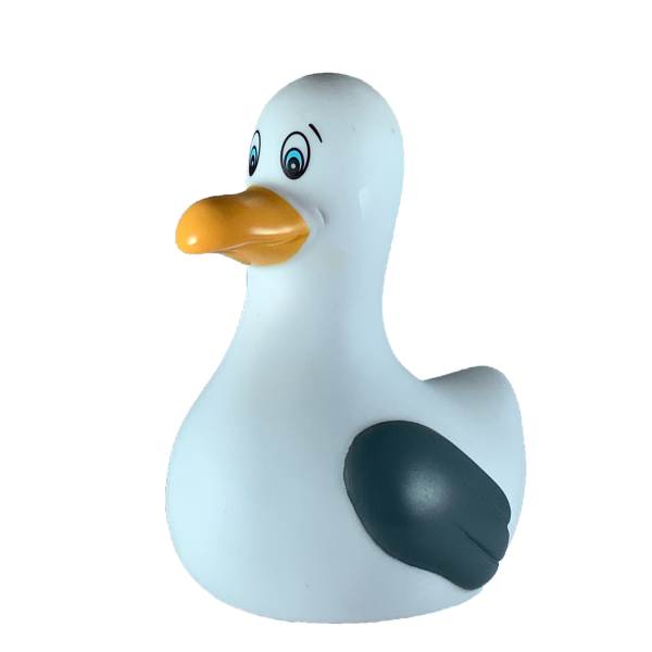 Meeuwenbad