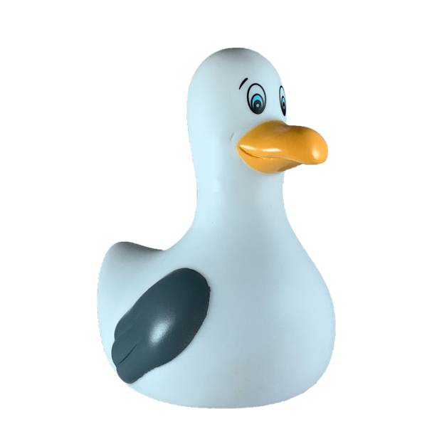 Mouette de Bain