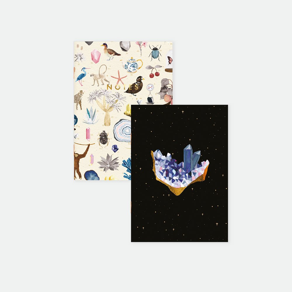 Curiosity - Duo de carnets de Poche A6