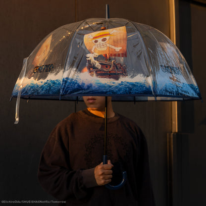 Parapluie Transparent Vogue Merry