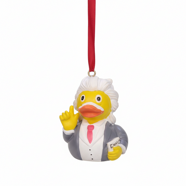 Hangende decoratie: Albert Einstein-eend