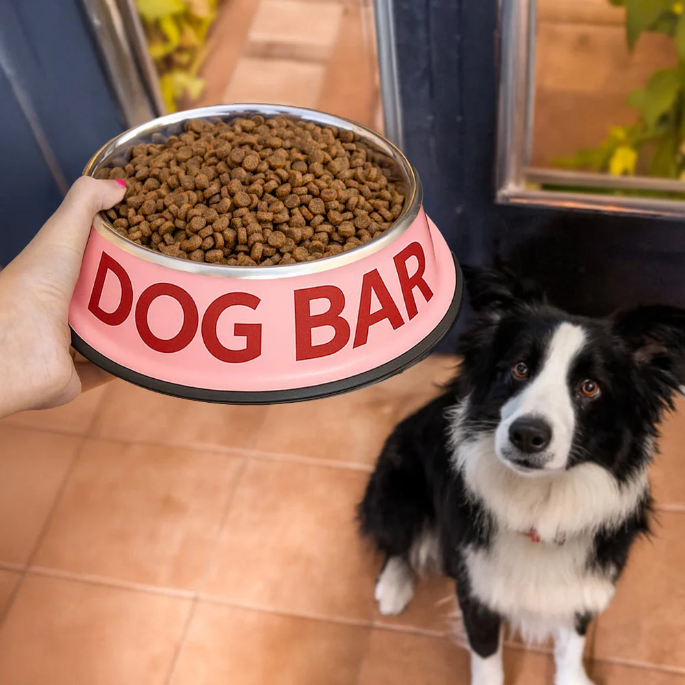 Gamelle et Abreuvoir « Dog bar »