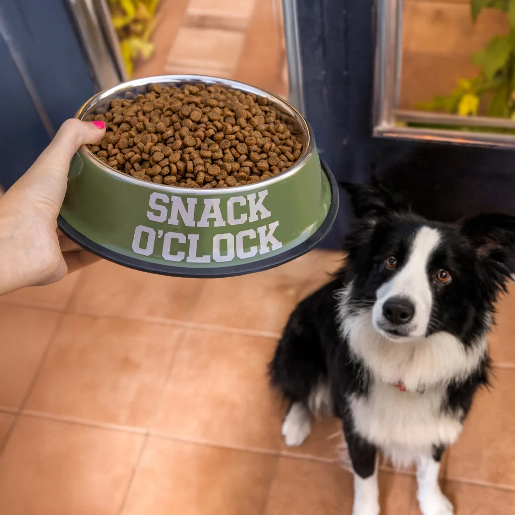 Gamelle et Abreuvoir « O’clock » – Fisura – vue 3
