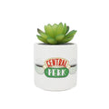 Pot avec Fausse Plante Friends « Central Perk »