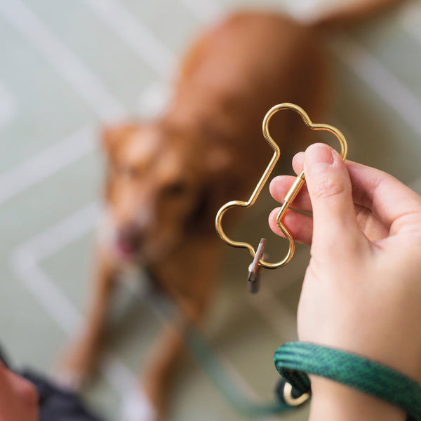 Hello Bone Os sleutelhanger