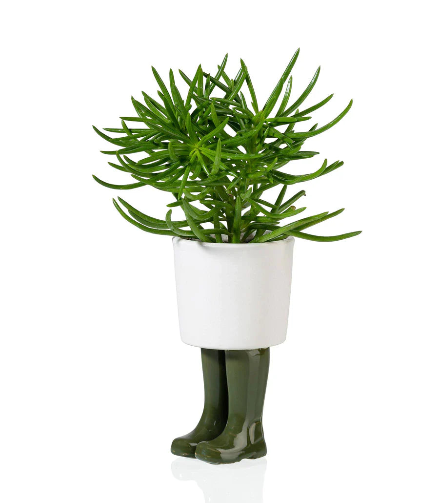 Bloempot, groene Wellington laarzen