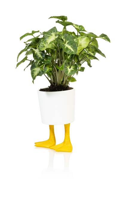 Pot de fleur Pattes de Canards Bitten – Cache-pot original